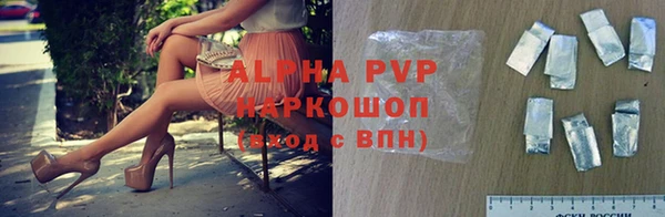 тгк Горно-Алтайск