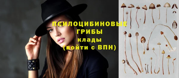 тгк Горно-Алтайск
