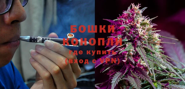 тгк Горно-Алтайск