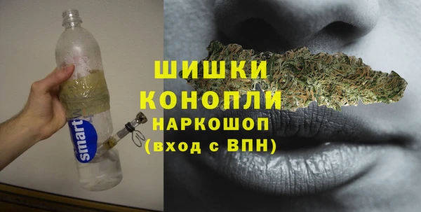 тгк Горно-Алтайск