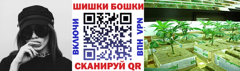 МАРИХУАНА ГИДРОПОН  Купить  Мураши 
